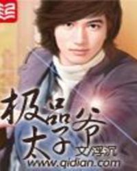 极品太子刘铮小说